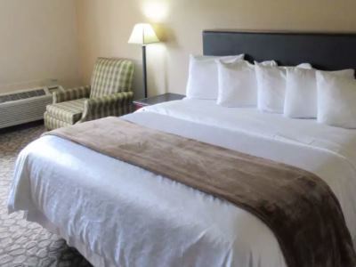 Rodeway Inn 蒙哥马利 外观 照片